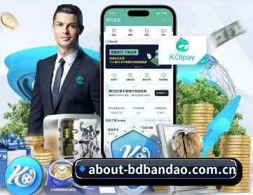 about-bdbandao.com.cn APP 深度功能